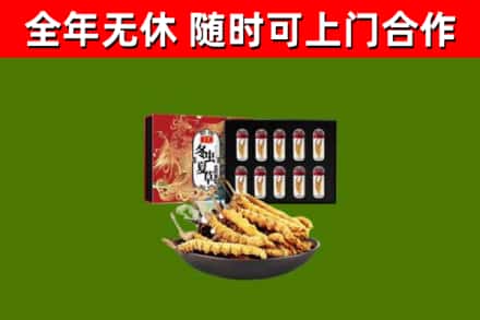 麻城烟酒回收冬虫夏草礼盒.jpg